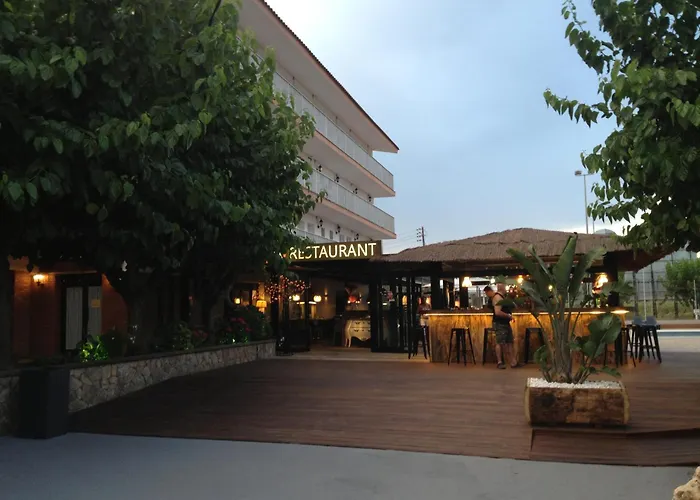 Solfina